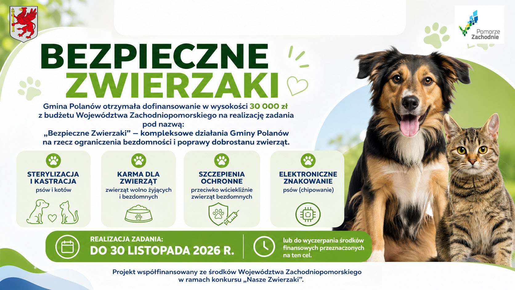 Grafika promująca projekt „Bezpieczne Zwierzaki” Gminy Polanów – działania na rzecz ograniczenia bezdomności i poprawy dobrostanu zwierząt